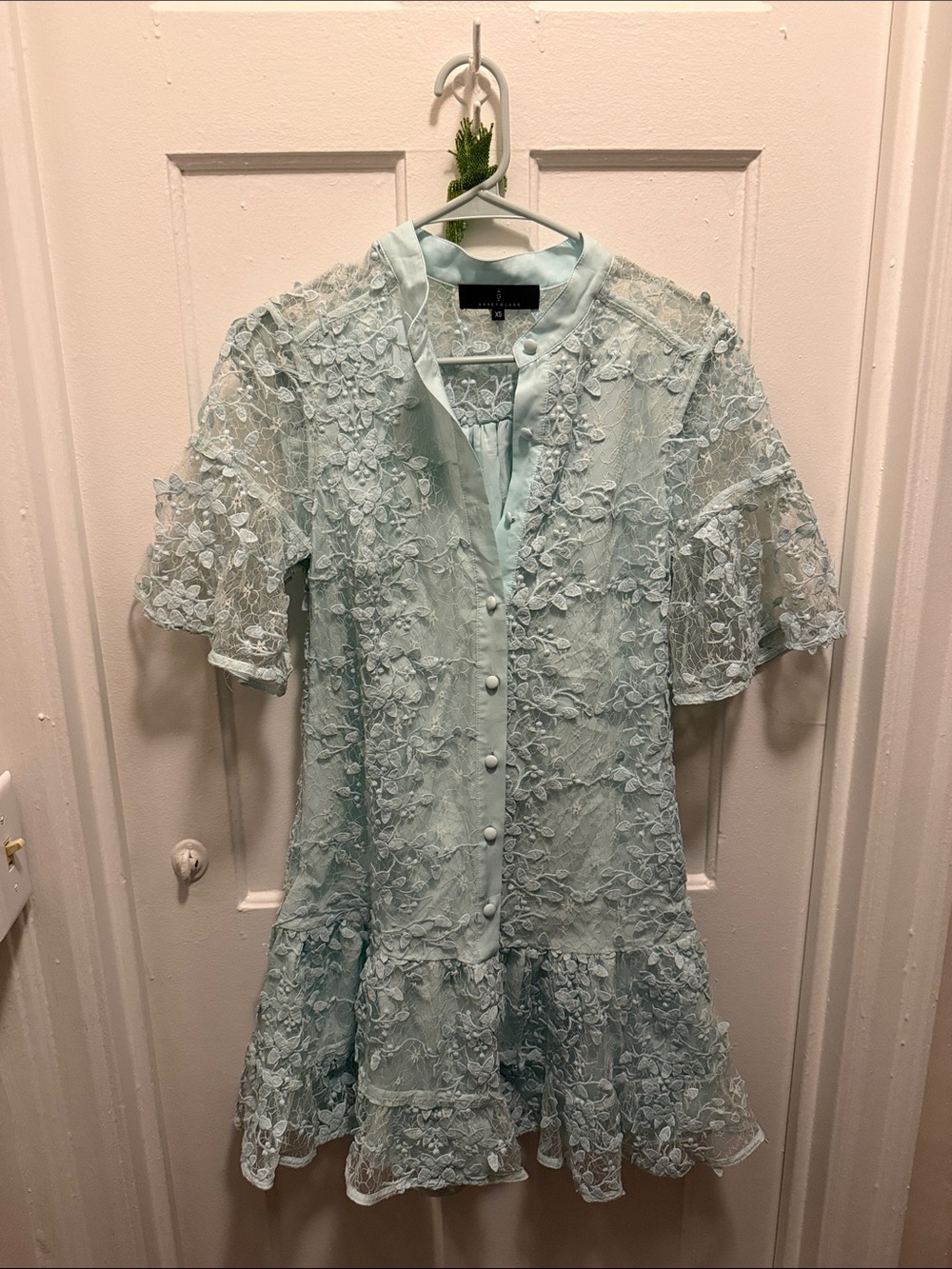 Abbey Glass Light Blue Lace Button-Front Mini Dress